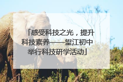 感受科技之光，提升科技素养——望江初中举行科技研学活动