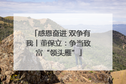 感恩奋进 双争有我丨董保立：争当致富“领头雁”