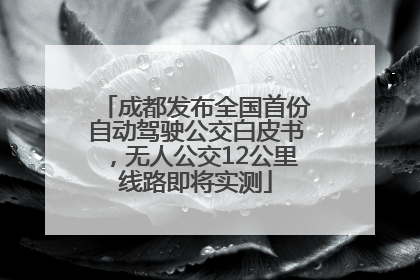 成都发布全国首份自动驾驶公交白皮书，无人公交12公里线路即将实测