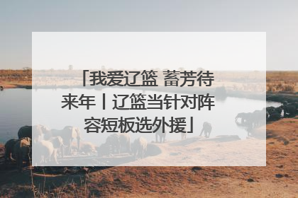 我爱辽篮 蓄芳待来年丨辽篮当针对阵容短板选外援