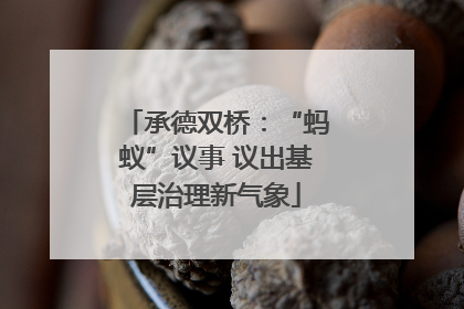 承德双桥：“蚂蚁”议事 议出基层治理新气象