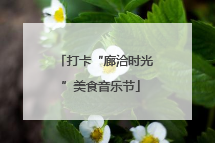 打卡“廊洽时光”美食音乐节
