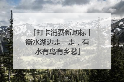 打卡消费新地标丨衡水湖边走一走，有水有鸟有乡愁