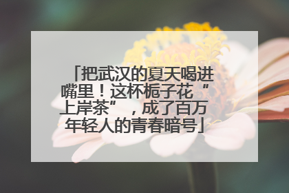 把武汉的夏天喝进嘴里！这杯栀子花“上岸茶”，成了百万年轻人的青春暗号