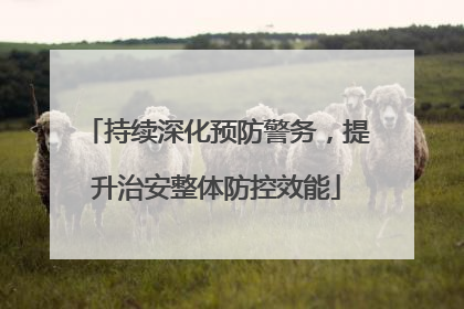 持续深化预防警务，提升治安整体防控效能