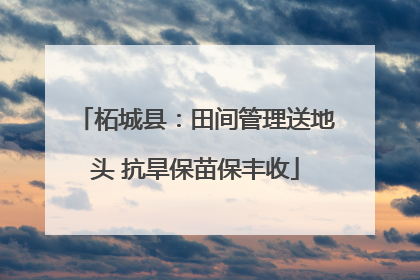 柘城县：田间管理送地头 抗旱保苗保丰收