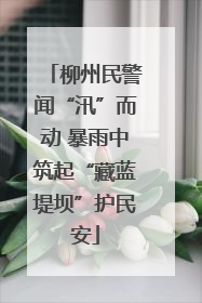 柳州民警闻“汛”而动 暴雨中筑起“藏蓝堤坝”护民安