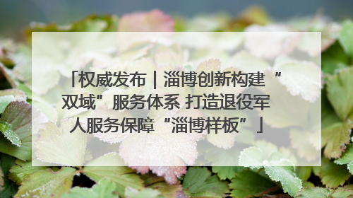 权威发布｜淄博创新构建“双域”服务体系 打造退役军人服务保障“淄博样板”
