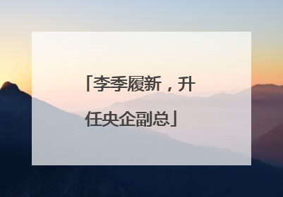 李季履新，升任央企副总