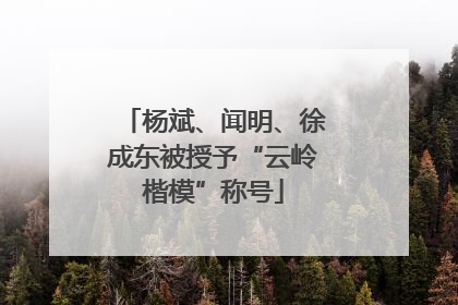 杨斌、闻明、徐成东被授予“云岭楷模”称号