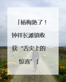 杨梅熟了！钟祥长滩镇收获“舌尖上的惊喜”
