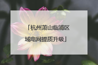 杭州萧山临浦区域电网提质升级