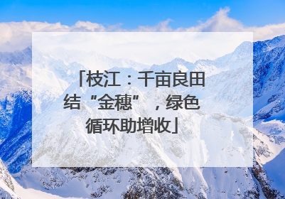 枝江：千亩良田结“金穗”，绿色循环助增收