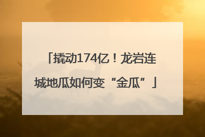 撬动174亿！龙岩连城地瓜如何变“金瓜”