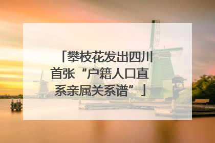 攀枝花发出四川首张“户籍人口直系亲属关系谱”
