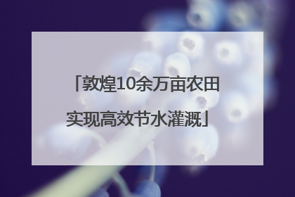 敦煌10余万亩农田实现高效节水灌溉