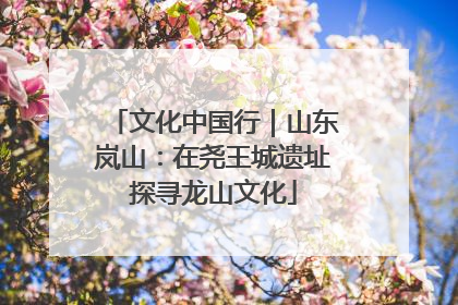 文化中国行｜山东岚山：在尧王城遗址探寻龙山文化