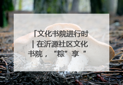 文化书院进行时｜在沂源社区文化书院，“粽”享“端午”美好时光