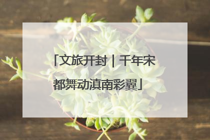 文旅开封｜千年宋都舞动滇南彩翼