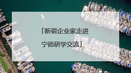 新疆企业家走进宁德研学交流
