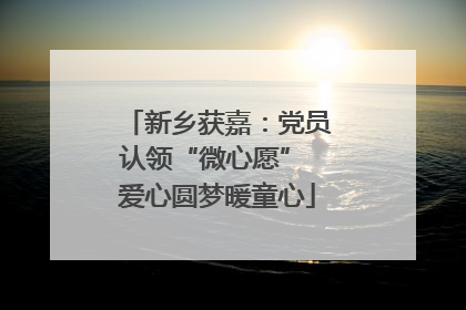 新乡获嘉：党员认领“微心愿” 爱心圆梦暖童心