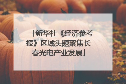 新华社《经济参考报》区域头题聚焦长春光电产业发展