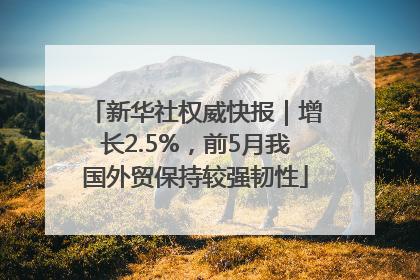 新华社权威快报｜增长2.5%，前5月我国外贸保持较强韧性