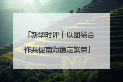 新华时评丨以团结合作共促南海稳定繁荣