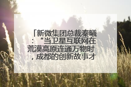 新微集团总裁秦曦：“当卫星互联网在荒漠高原连通万物时，成都的创新故事才真正开始”