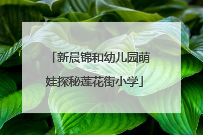 新晨锦和幼儿园萌娃探秘莲花街小学