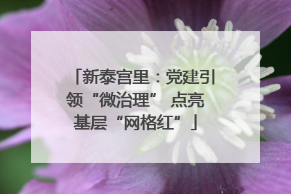 新泰宫里：党建引领“微治理” 点亮基层“网格红”
