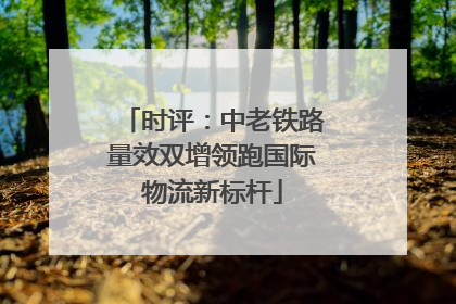 时评：中老铁路量效双增领跑国际物流新标杆