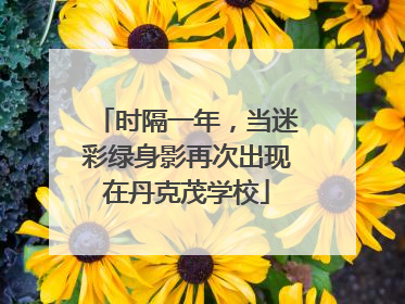 时隔一年，当迷彩绿身影再次出现在丹克茂学校