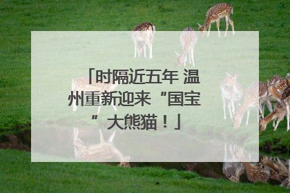 时隔近五年 温州重新迎来“国宝”大熊猫！