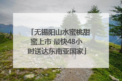 无锡阳山水蜜桃甜蜜上市 最快48小时送达东南亚国家