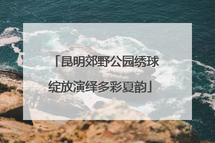 昆明郊野公园绣球绽放演绎多彩夏韵