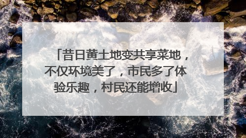 昔日黄土地变共享菜地，不仅环境美了，市民多了体验乐趣，村民还能增收