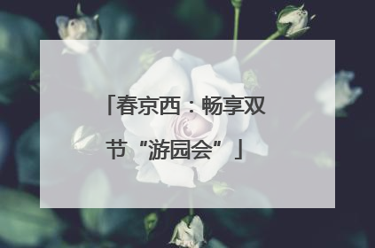春京西：畅享双节“游园会”