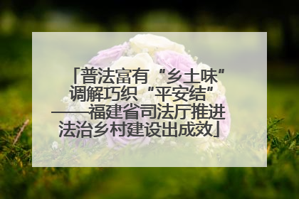 普法富有“乡土味” 调解巧织“平安结”——福建省司法厅推进法治乡村建设出成效
