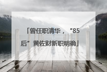 曾任职清华，“85后”黄佐财新职明确