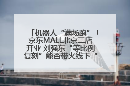 机器人“满场跑”！京东MALL北京二店开业 刘强东“等比例复刻”能否带火线下“618”？