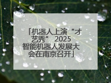 机器人上演“才艺秀” 2025智能机器人发展大会在南京召开