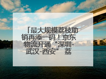 最大规模荔枝助销再添一码！京东物流开通“深圳-武汉-西安” 荔枝全货机航线