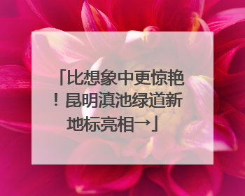 比想象中更惊艳！昆明滇池绿道新地标亮相→