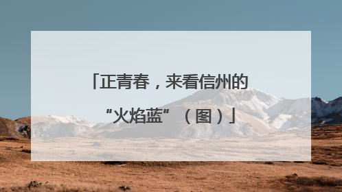 正青春，来看信州的“火焰蓝”（图）