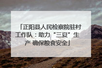 正阳县人民检察院驻村工作队：助力“三夏”生产 确保粮食安全