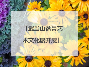 武当山盆景艺术文化展开展