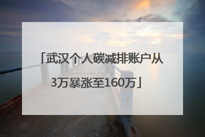 武汉个人碳减排账户从3万暴涨至160万