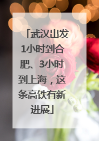 武汉出发1小时到合肥、3小时到上海，这条高铁有新进展