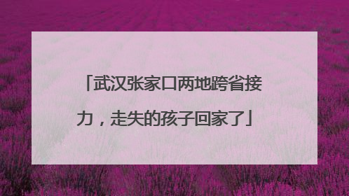 武汉张家口两地跨省接力，走失的孩子回家了